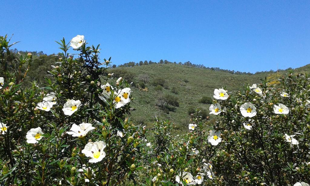 Monte Da Vilarinha Carrapateira Exterior foto